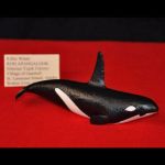 Ron Apangalook - Killer Whale