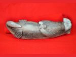 Ron Apangalook - Otter With Shell