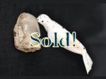 Ron Apangalook - C. Edwards Spotted Seal w/ Base